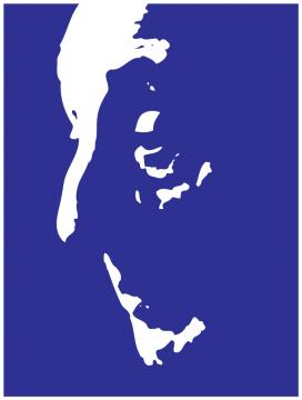 Kyiv - International Competition for Young Pianists in Memory of Vladimir Horowitz